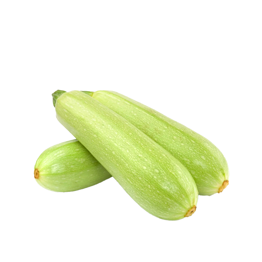 Zucchini TR Vit stor 15kg